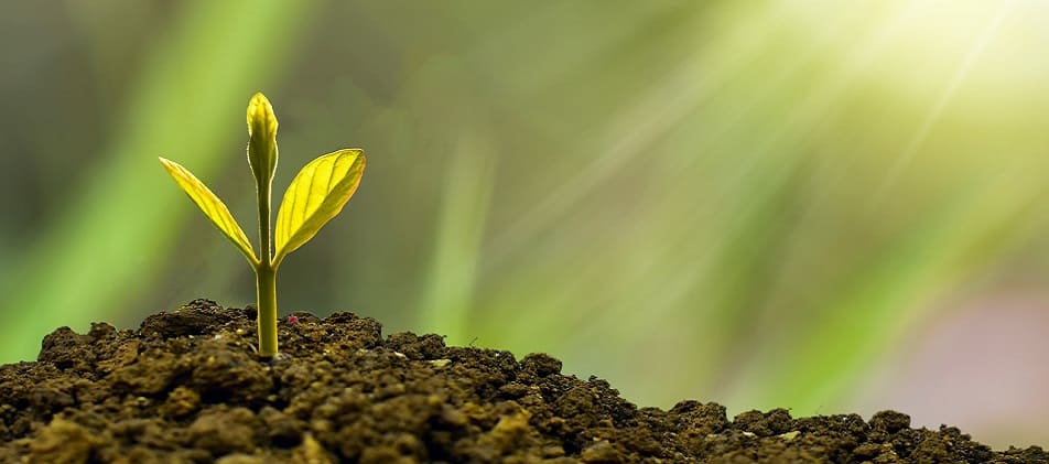 Professionelle Hilfe bei der Entschuldung Schuldnerberatung Bergen auf Rügen