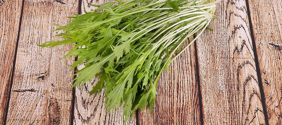 Es wächst der Schuldenberg Schuldnerberatung Stuttgart Ostheim