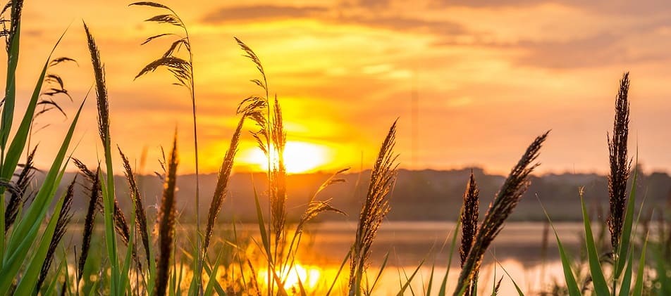 Sonnenuntergang wir helfen bei Überschuldung Schuldnerberatung Freiburg Brühl